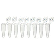 Globe Scientific PCR-QS-02F QuickSnap Tube with Individually-Attached Flat Cap, Clear, 8 Strip, 0.2mL Capacity, Pack of 120