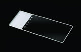 Globe Scientific 1334 Microscope Slides, Frosted 1 End 1 Side, with Beveled Edges and Clipped Corners, 25 x 75mm, Pack of 1440