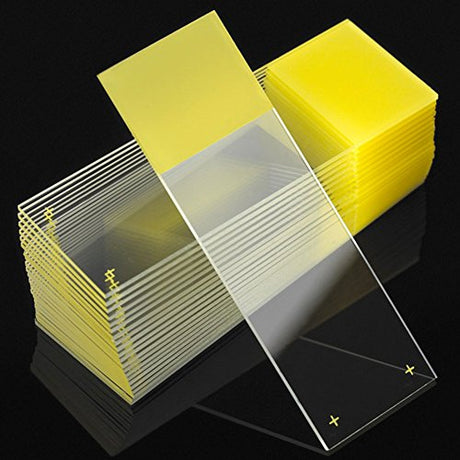 Globe Scientific Diamond 1358Y White Glass Charged Microscope Slide, 25 x 75mm Size, Ground Edges, Yellow Frosted (1,440 slides)