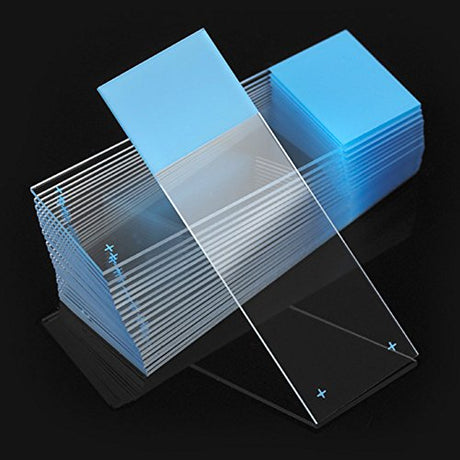 Globe Scientific Diamond 1358B White Glass Charged Microscope Slide, 25 x 75mm Size, Ground Edges, Blue Frosted (1,440 slides)