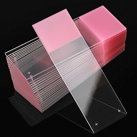Globe Scientific Diamond 1358P White Glass Charged Microscope Slide, 25 x 75mm Size, Ground Edges, Pink Frosted (1,440 slides)