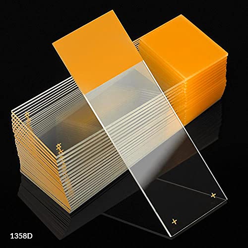 Globe Scientific Diamond 1358D White Glass Charged Microscope Slide, 25 x 75mm Size, Ground Edges, Gold Frosted (1,440 slides)