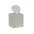 ESSITY TORK FACIAL TISSUES - TF6830