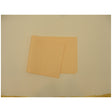 TIDI ALL TISSUE PATIENT DRAPE SHEET - 918322
