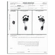 PRECISION DYNAMICS KLEEN-PRINT® FOOTPRINTER SYSTEM - 2010-00-PDA