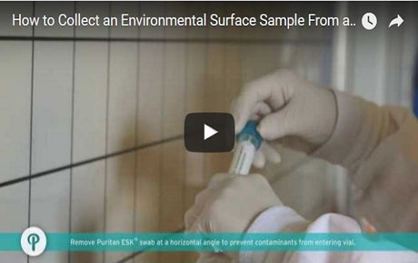 Puritan ESK Sampling Kit - 4" Sterile Polyester Swab & 4ml Letheen Broth - 25-83004 PD LB-Surface Testing, Cs