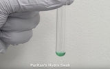 HydraFlock 6" Sterile Large Flock Swab w/Polystyrene Handle & Dry Transport Tube - 25-3206-H 20MM BT-DNA Collection, Cs