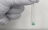 HydraFlock 6" Sterile Standard Flock Swab w/Polystyrene Handle, 80mm Breakpoint - 25-3306-H-Sterile Swabs, Cs